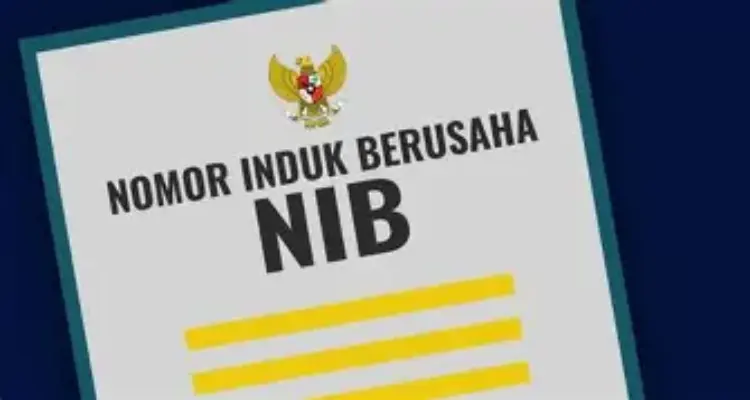 jasa pembuatan nib