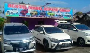 Perbandingan Harga Rental Mobil Medan Harian, Mingguan, Dan Bulanan